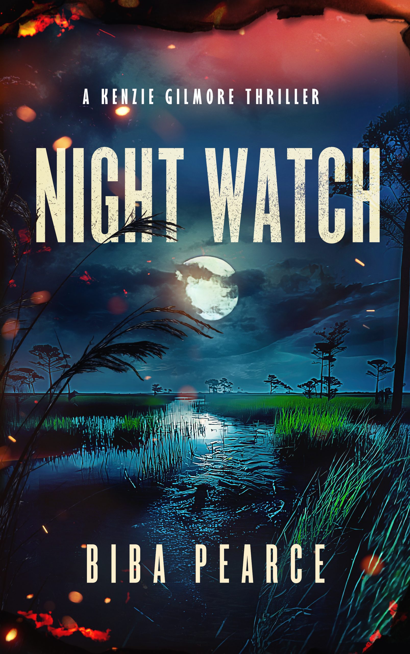 Night Watch by Biba Pearce, Kenzie Gilmore book 8.